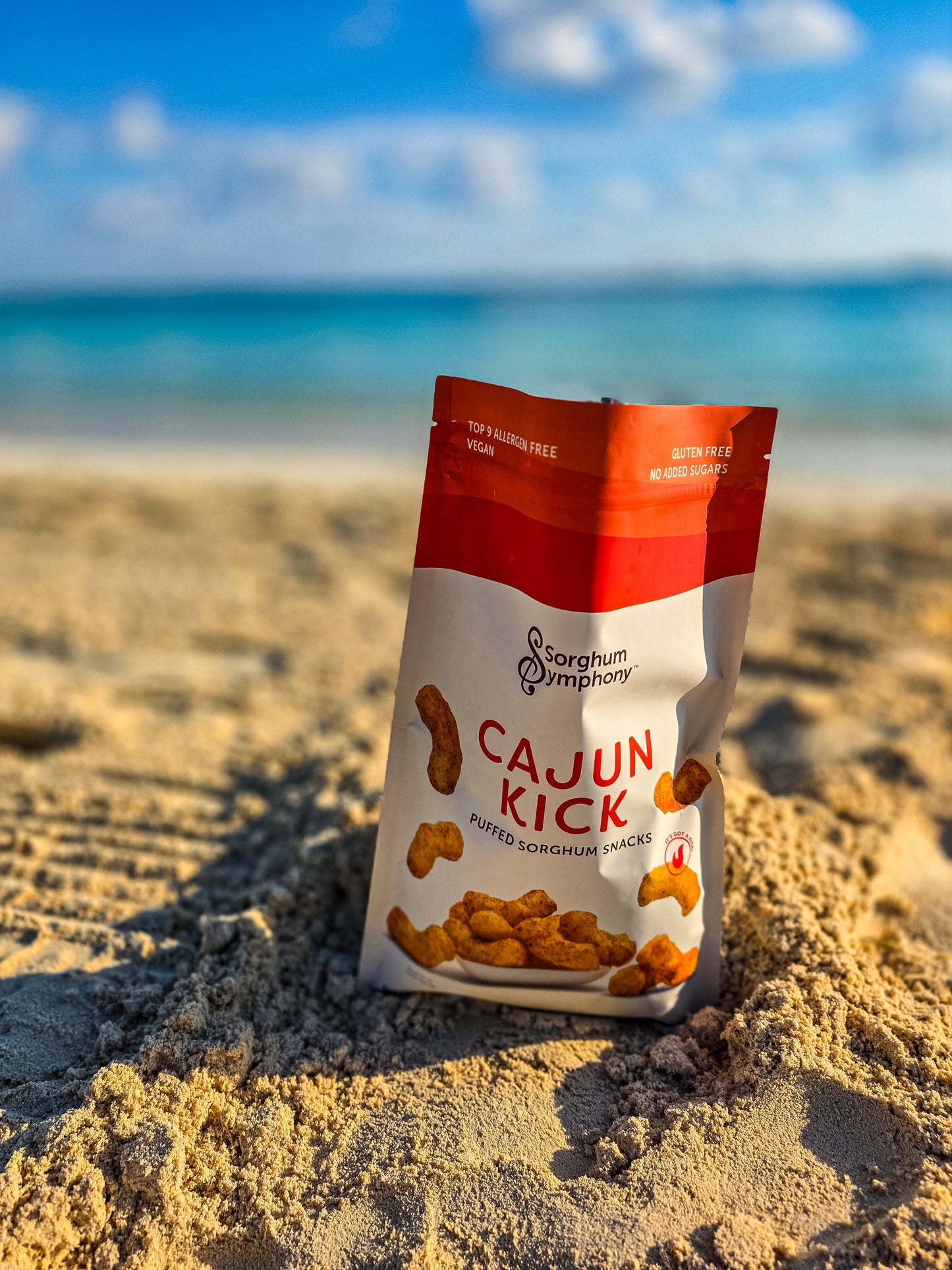 Cajun Kick Puffed Sorghum Snacks