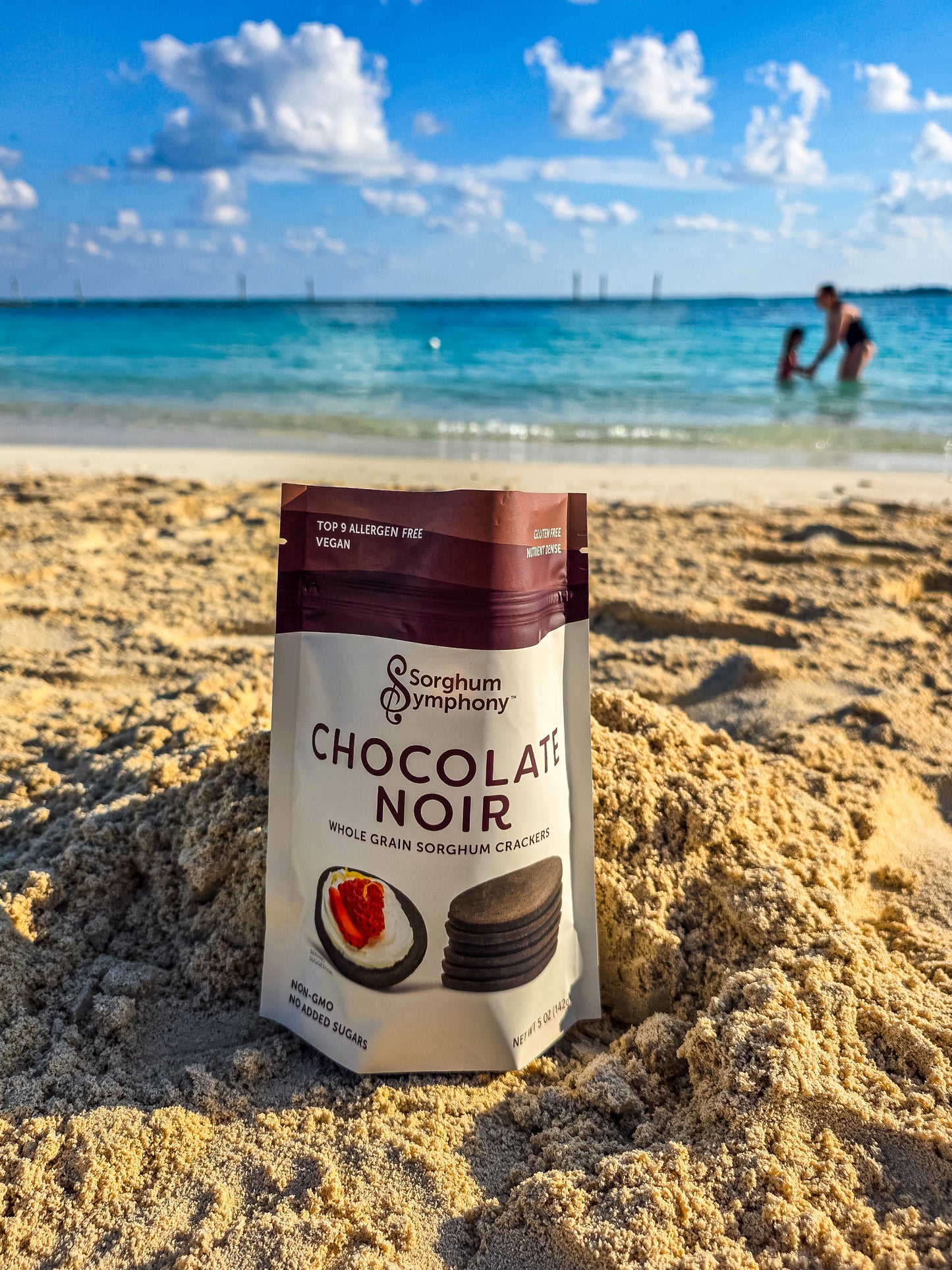 Chocolate Noir Whole Grain Sorghum Crackers