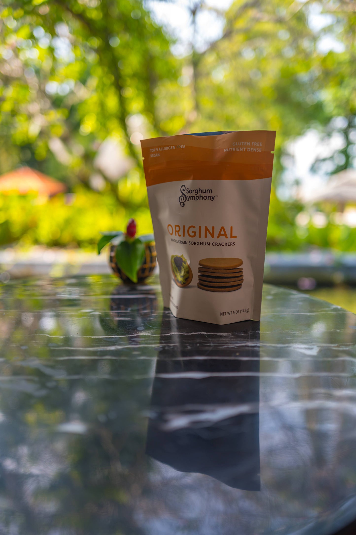Original Whole Grain Sorghum Crackers