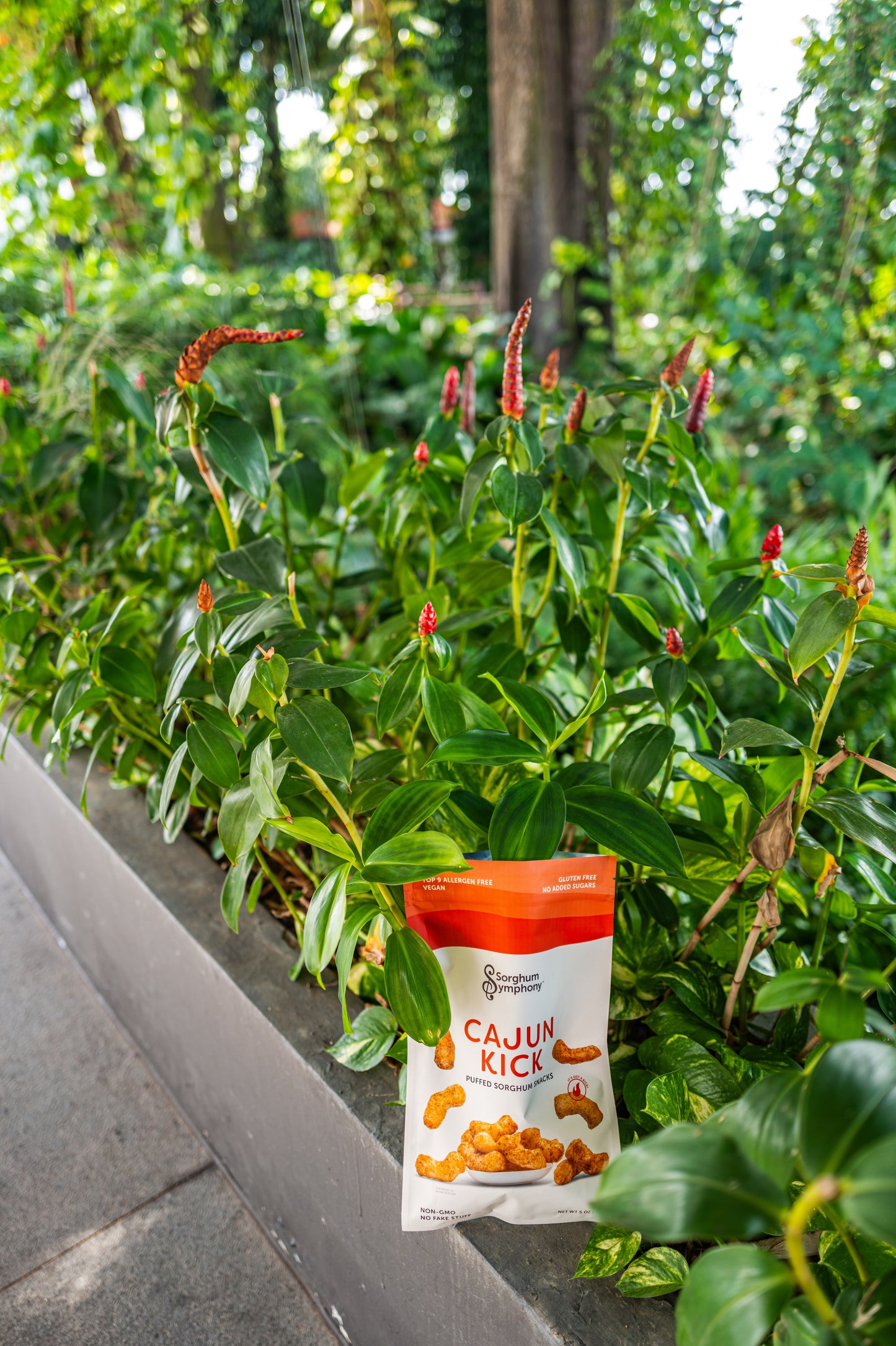 Cajun Kick Puffed Sorghum Snacks